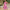 New V-neck Printed Short-sleeved Long Dress Summer Fashion Slim Seaside Vacation Beach Dresses For Women Clothing