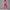 Solid Beauty-back Long Pants Jumpsuit Yoga Fitness Running Dance Slim Bodysuit Women Sports Clothing
