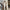 One-shoulder Ribbon Long Dress Ins Fashion Slim Sleeveless Dresses For Evening Party Club Clothing Women