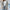 Loose Lapel Fluffy Coat Winter Button Jacket Cardigan Outwear For Women Clothing