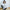 Sports Top Yoga Clothing Suit Women