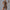 Summer Zipper Short-sleeved Shorts Jumpsuit Yoga Fitness Dance Slim Sports Bodysuit Women Sports Clothing