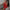Sexy Tube Top Dress With Back Zipper Design Ins Fashion Short Dress For Party Clothing Women