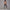 Solid Beauty-back Long Pants Jumpsuit Yoga Fitness Running Dance Slim Bodysuit Women Sports Clothing