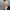 Winter Loose Batwing Sleeve Pullover Sweater Fashion Oversized Knitted Shawl Sweater Tops For Women Clothing