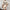 Fashion Loose Suits For Women V-neck Ruffle Sleeve Short-sleeved Top And Shorts Summer Two-piece Set Clothing