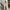 One-shoulder Ribbon Long Dress Ins Fashion Slim Sleeveless Dresses For Evening Party Club Clothing Women