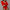 Deep V Neck Long Sleeved Pit Strip Jumpsuit Spring And Autumn Women Clothing
