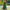 Summer Women Polka Dot Short Sleeve Dress Casual Bandage Party Pleated Midi Dresses Elegant Green Office Lady Clothing