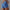 https://selfiai.com › products › yoga-shorts-with-phone-pocket-design-fitness-sports-pants-for-women-clothing