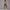 Solid Beauty-back Long Pants Jumpsuit Yoga Fitness Running Dance Slim Bodysuit Women Sports Clothing