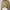 Fashion Button Stand-collar Jacket With Big Pockets Casual Loose Short Outwear Tops Coat For Women Clothing