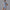 Summer Zipper Short-sleeved Shorts Jumpsuit Yoga Fitness Dance Slim Sports Bodysuit Women Sports Clothing