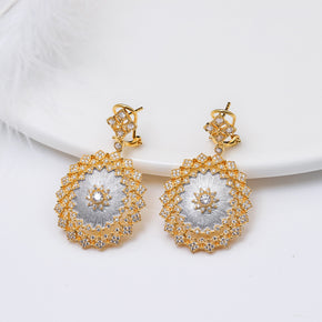 Light Luxury 925 Colorful Brushed Earrings