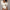 Deep V Neck Long Sleeved Pit Strip Jumpsuit Spring And Autumn Women Clothing