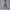 Solid Beauty-back Long Pants Jumpsuit Yoga Fitness Running Dance Slim Bodysuit Women Sports Clothing
