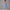 Solid Beauty-back Long Pants Jumpsuit Yoga Fitness Running Dance Slim Bodysuit Women Sports Clothing