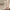 Transparent Eyebrow Gel Gel Slender Hose Portable Silicone Bruch Head