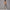 Solid Beauty-back Long Pants Jumpsuit Yoga Fitness Running Dance Slim Bodysuit Women Sports Clothing