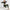 3PCS Yoga Set Seamless Sport Set Women Gym Clothing Leggings Women Crop Top Sports Bra Women Fitness Gym Set Womens Outfits Tracksuit