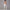 Solid Beauty-back Long Pants Jumpsuit Yoga Fitness Running Dance Slim Bodysuit Women Sports Clothing