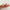 Ring Ear Clip Women's Simple Contrast Color Milky White