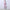 3PCS Yoga Set Seamless Sport Set Women Gym Clothing Leggings Women Crop Top Sports Bra Women Fitness Gym Set Womens Outfits Tracksuit