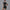 Summer Zipper Short-sleeved Shorts Jumpsuit Yoga Fitness Dance Slim Sports Bodysuit Women Sports Clothing