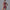 Summer Zipper Short-sleeved Shorts Jumpsuit Yoga Fitness Dance Slim Sports Bodysuit Women Sports Clothing