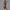 Summer Zipper Short-sleeved Shorts Jumpsuit Yoga Fitness Dance Slim Sports Bodysuit Women Sports Clothing