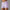 Yoga Shorts With Phone Pocket Design Fitness Sports Pants For Women Clothing