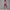Solid Beauty-back Long Pants Jumpsuit Yoga Fitness Running Dance Slim Bodysuit Women Sports Clothing