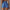 Yoga Shorts With Phone Pocket Design Fitness Sports Pants For Women Clothing