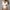 Deep V Neck Long Sleeved Pit Strip Jumpsuit Spring And Autumn Women Clothing