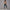 Solid Beauty-back Long Pants Jumpsuit Yoga Fitness Running Dance Slim Bodysuit Women Sports Clothing
