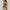 Summer Square-neck Tank Vest Ins Fashion Slim Solid Sleeveless Tops For Women Clothing