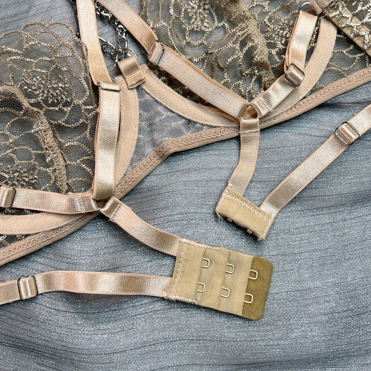 Wholesale Fancy Bra Panty Set in Beige Mesh with Embroidery Bra Back Details