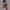 Fitness Double Layer Yoga Clothing Top Women