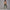 Solid Beauty-back Long Pants Jumpsuit Yoga Fitness Running Dance Slim Bodysuit Women Sports Clothing