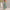 Summer Striped Printed Suspender Long Dress With Pockets Fashion Square Neck Backless Dresses For Beach Vacation Women Clothing