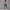 Solid Beauty-back Long Pants Jumpsuit Yoga Fitness Running Dance Slim Bodysuit Women Sports Clothing