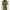 Fashion Stand Collar Woolen Coat With Pockets Fall Winter Casual Button Outwear For Women Clothing