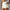 Yoga Shorts With Phone Pocket Design Fitness Sports Pants For Women Clothing