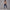 Solid Beauty-back Long Pants Jumpsuit Yoga Fitness Running Dance Slim Bodysuit Women Sports Clothing