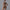Summer Zipper Short-sleeved Shorts Jumpsuit Yoga Fitness Dance Slim Sports Bodysuit Women Sports Clothing