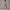 Solid Beauty-back Long Pants Jumpsuit Yoga Fitness Running Dance Slim Bodysuit Women Sports Clothing