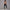 Solid Beauty-back Long Pants Jumpsuit Yoga Fitness Running Dance Slim Bodysuit Women Sports Clothing