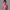 Fitness Double Layer Yoga Clothing Top Women