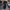 Loose Batwing Sleeve Dress Fashion Waist-tighted Solid Color Elegant Dresses For Women Clothing