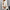 Winter Loose Batwing Sleeve Pullover Sweater Fashion Oversized Knitted Shawl Sweater Tops For Women Clothing